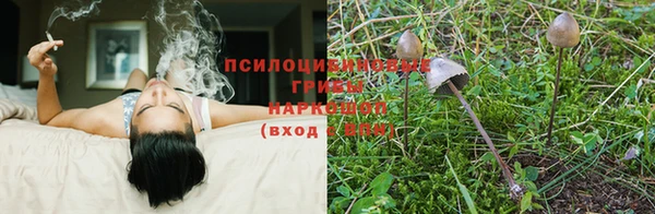 твердый Гусь-Хрустальный