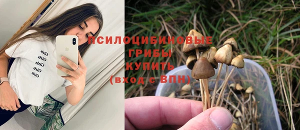твердый Гусь-Хрустальный