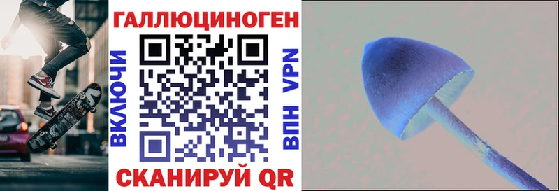 Галлюциногенные грибы Psilocybe Евпатория